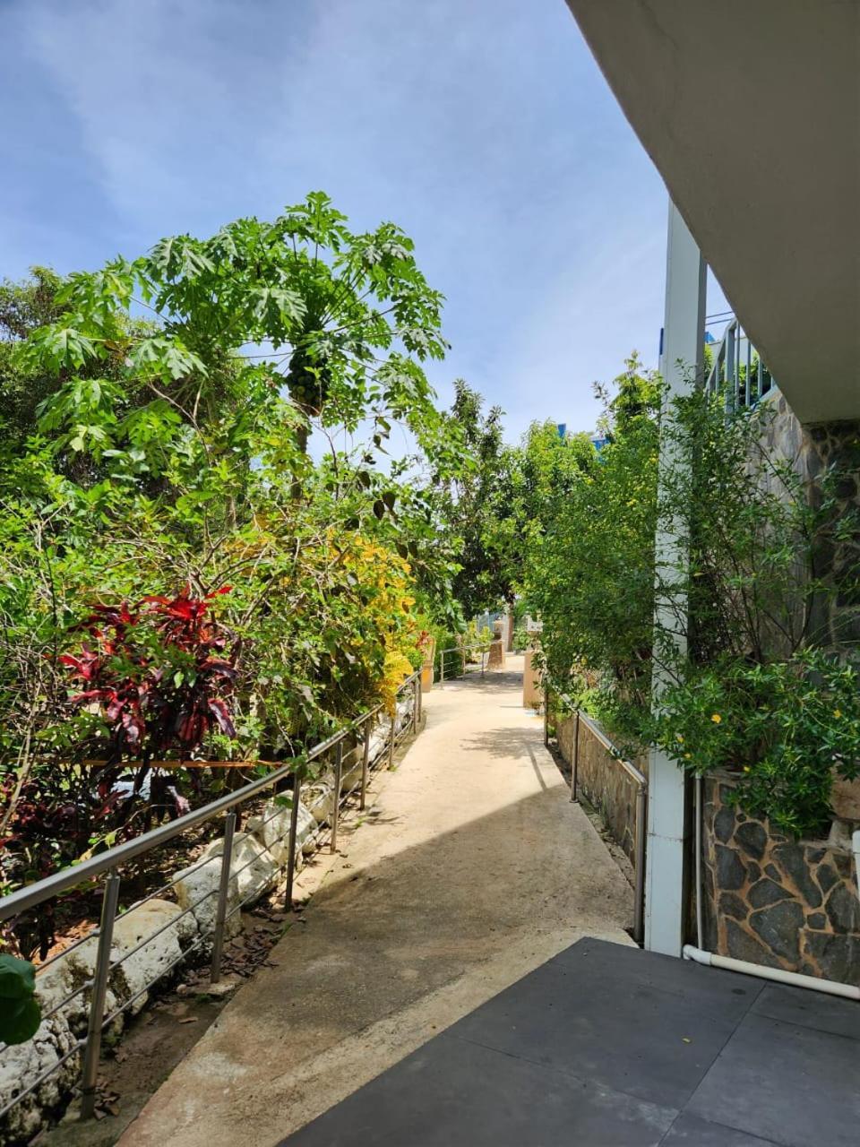 Hotel Ticozuma Montezuma Kültér fotó